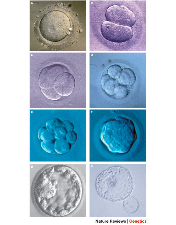 HISTORIA DE LA BIOLOGIA Y SUS GRANDES DESCUBRIMIENTOS