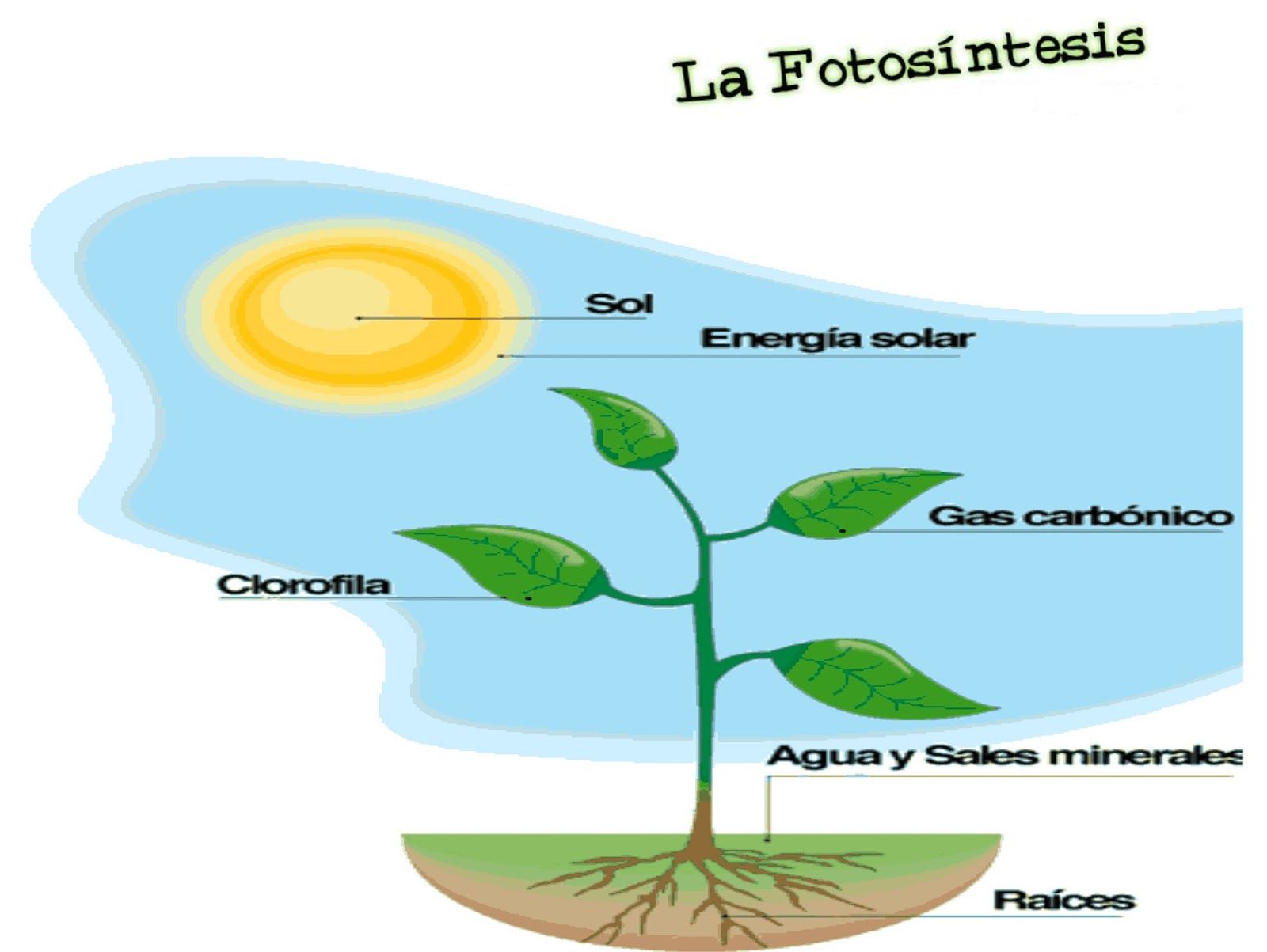 HISTORIA DE LA BIOLOGIA Y SUS GRANDES DESCUBRIMIENTOS