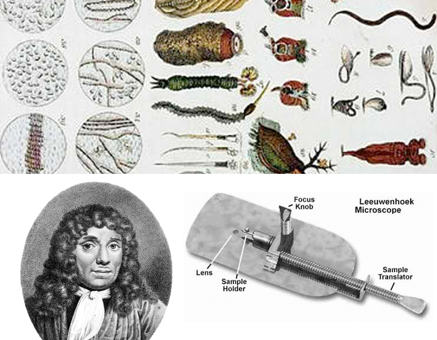 HISTORIA DE LOS PRIMEROS DESCUBRIMIENTOS DE LA BIOLOGÍA