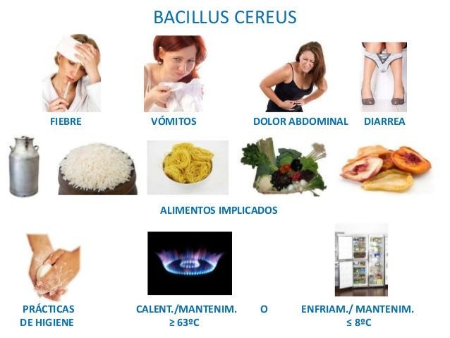 Bacterias esporuladas y no esporuladas