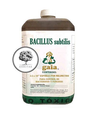 Bacterias esporuladas y no esporuladas