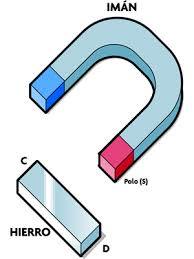 Estructuras Y funciones De Las Celulas Del Sistema Nervioso