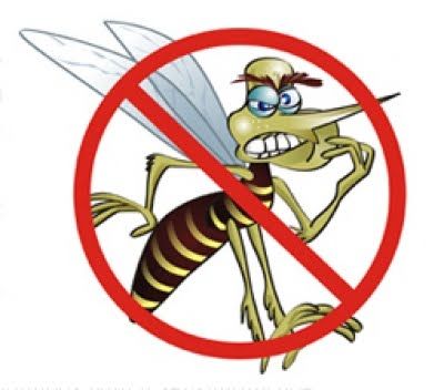 Comunicação, estratégias e controle da Dengue:a compreensão de um cenário público de experienciação