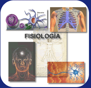 Aportes de la filosofía, la fisiología y biología a la psicología.