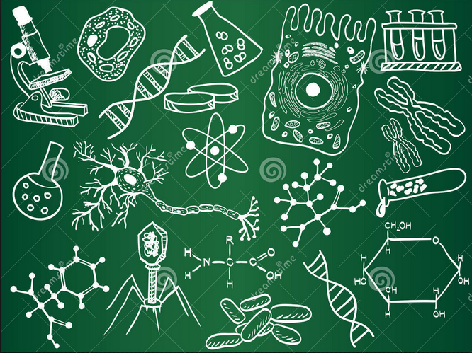Aportes de la filosofía, la fisiología y biología a la psicología.