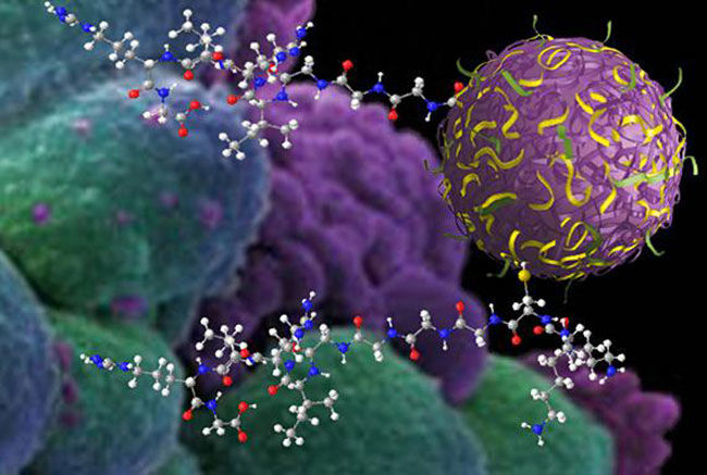 ¿Una ciencia hibrida? La Farmacologia