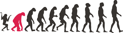 ORIGENES Y DESARROLLO DE LA SOCIOLOGIA