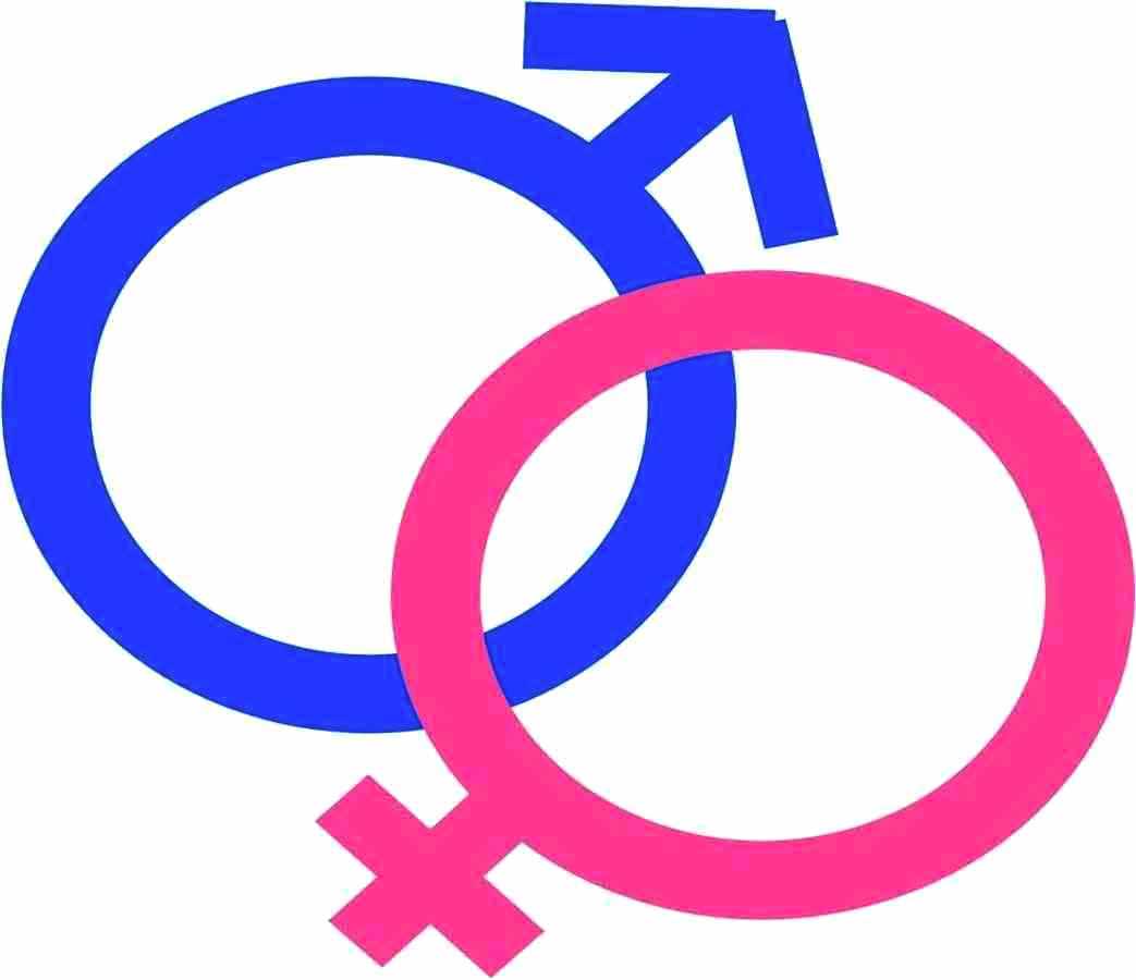 LINEAS DE ACCION DEL ESTADO PARA TRABAJAR LA SALUD SEXUAL Y REPRODUCTIVA.