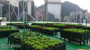 Agricultura urbana en el marco de un urbanismo sostenible