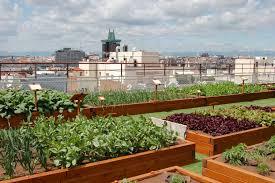 Agricultura urbana en el marco de un urbanismo sostenible