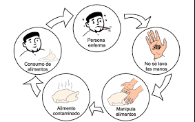 Determinacion de la calidad microbiologica de alimentos vendidos en la via publica en bogota D.C.