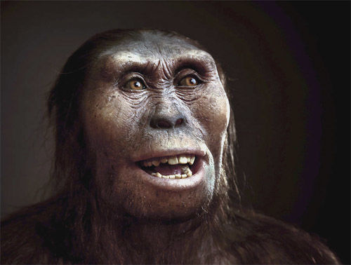 Evolución de los seres humanos por Lindsay Laboranti G.
