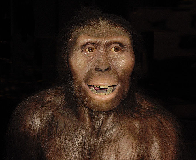 Evolución de los seres humanos por Lindsay Laboranti G.
