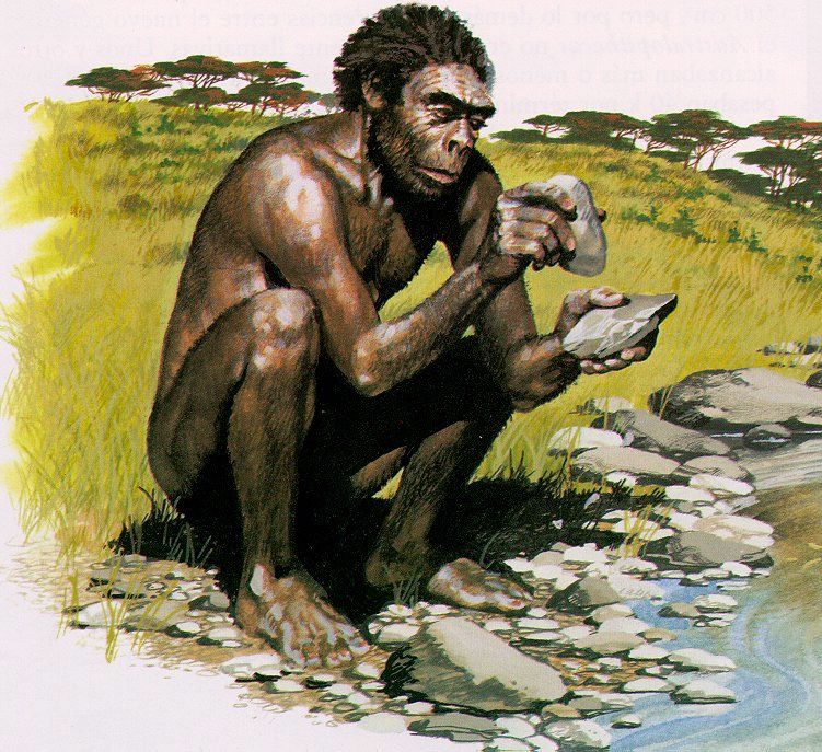 Evolución de los seres humanos por Lindsay Laboranti G.