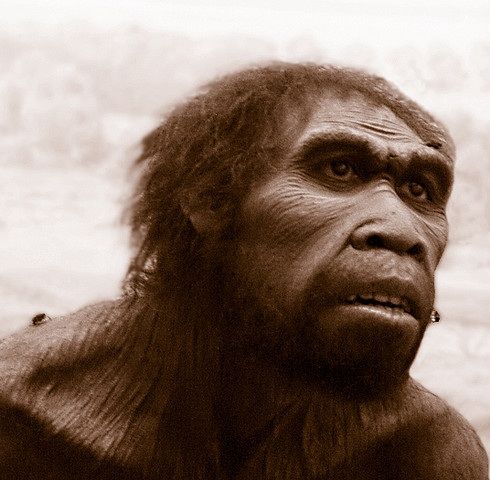 Evolución de los seres humanos por Lindsay Laboranti G.