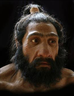 Evolución de los seres humanos por Lindsay Laboranti G.