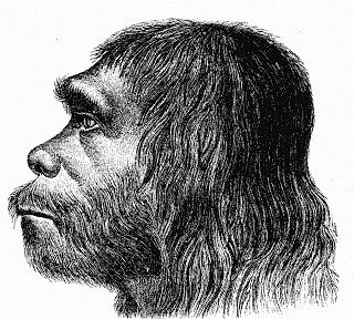 Evolución de los seres humanos por Lindsay Laboranti G.