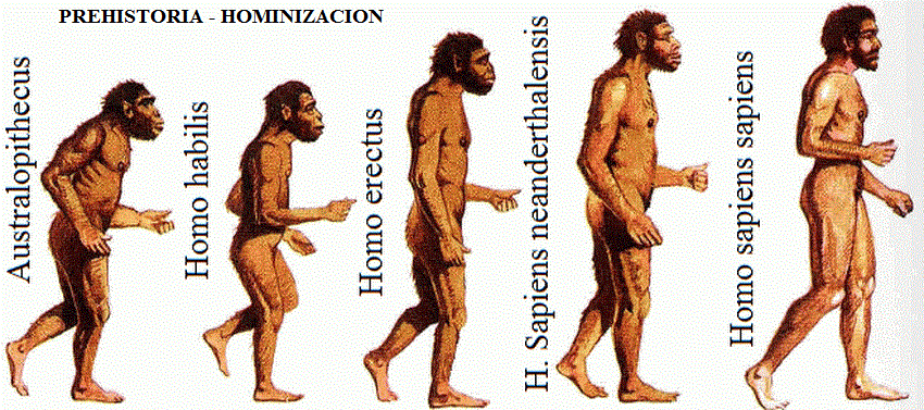 Evolución de los seres humanos por Lindsay Laboranti G.