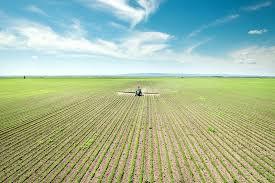 Negative impacts on an ecosystem of large-scale monocultures of crop plants