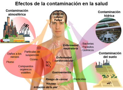 LA CONTAMINACIÓN POR ROBERTO TORRES