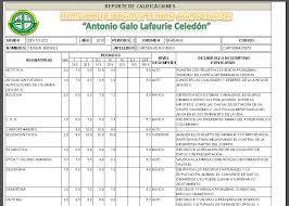 Estructura de la información en el CDI Luz del cielo