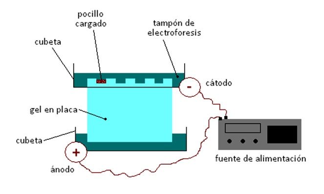 Metodos De Separaciòn De Mezclas