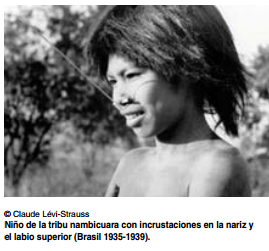 Diversidad cultural: convergencias y diferencias entre territorios