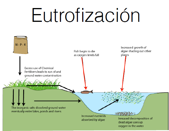 Flujos de N hacia la atmosfera y de sistemas terrestres a sistemas acuaticos.