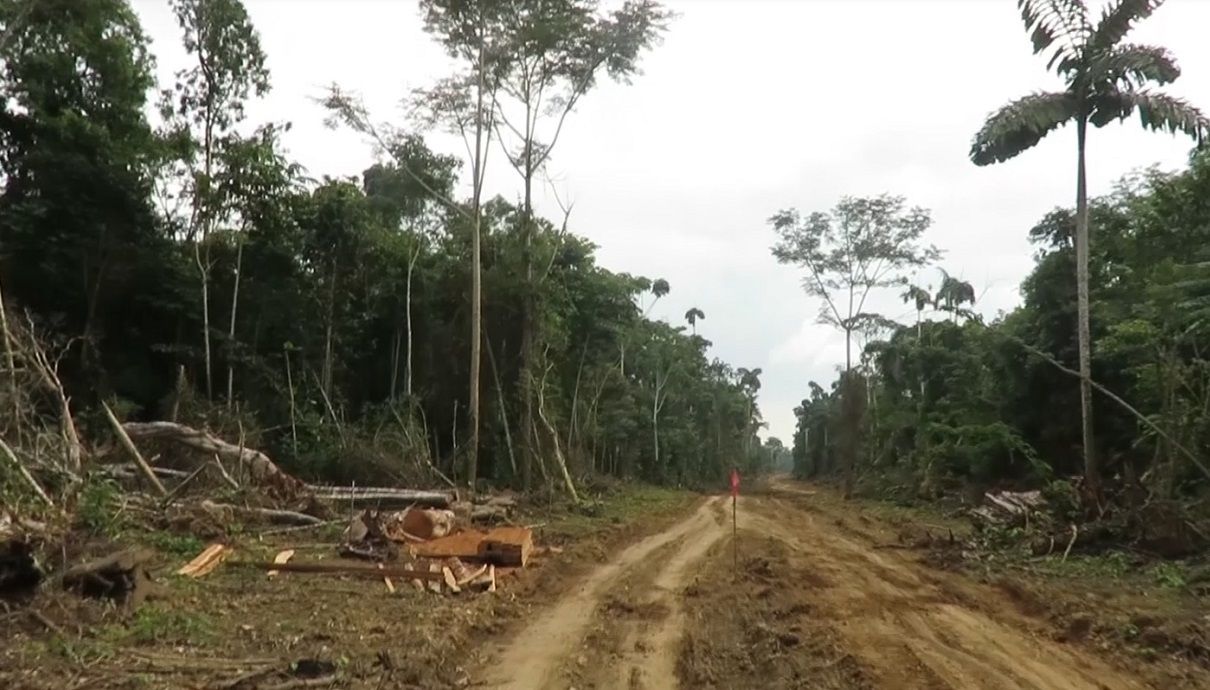 Ingeniería civil en la evolución del medio ambiente en colombia