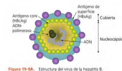 Enfermedad gástrica, intestinal y pancreática exocrina