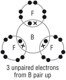 5.3 Covalent Bonding