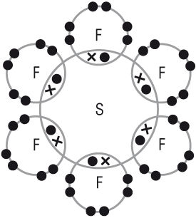 5.3 Covalent Bonding
