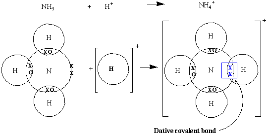 5.3 Covalent Bonding