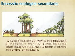 SUCESSÃO ECOLÓGICA