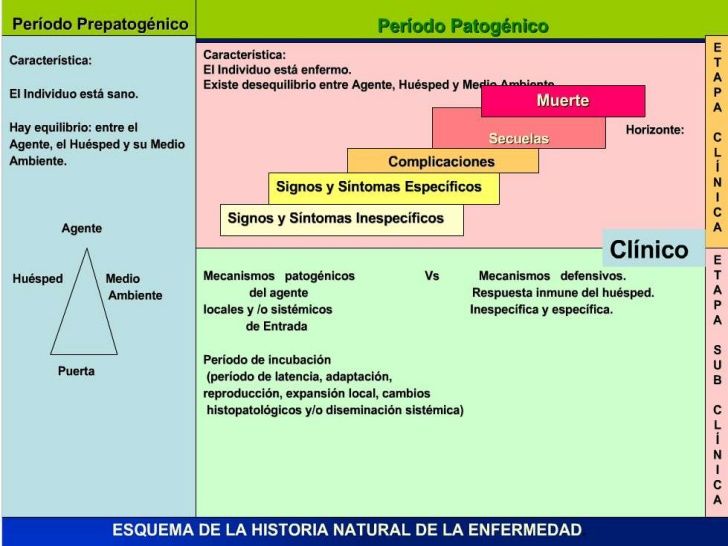 DOLOR PÉLVICO Y DISMENORREA. INFECCIONES GENITOURINARIAS Y ENFERMEDADES SEXUALMENTE