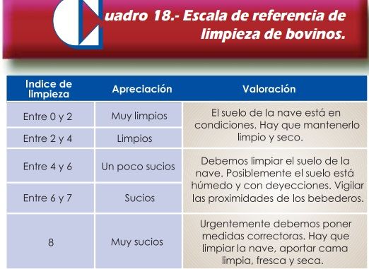 Instalaciones y manejo para la produccion de carne de bovino
