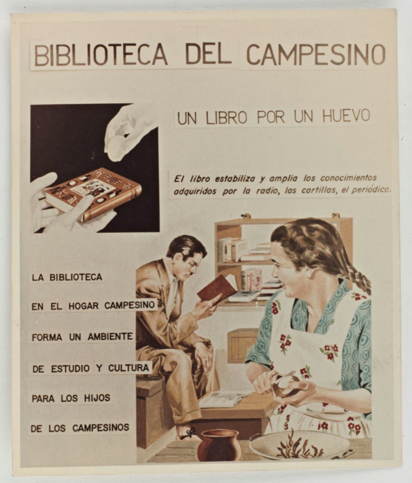 INVESTIGACIÓN DE LA MUJER EN ACPO