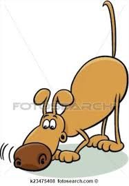 TEST DE DE SELECCION DE CANINOS PARA DETECCION DE SUSTANCIAS