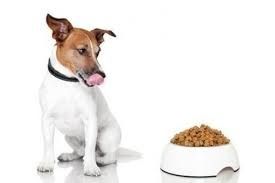 TEST DE DE SELECCION DE CANINOS PARA DETECCION DE SUSTANCIAS