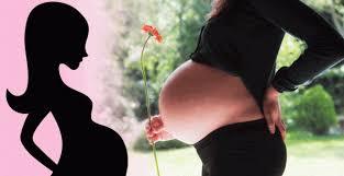 Líneas de Acción en Salud Sexual y Reproductiva