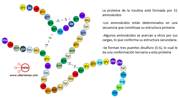 Propiedades Fisicoquimicas de los Aminoácidos