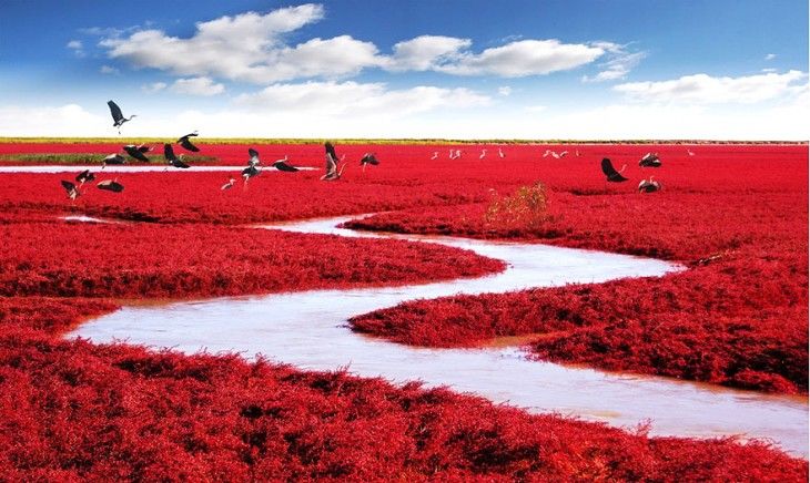 LUGARES MARAVILLOSOS DE CADA CONTINENTE
