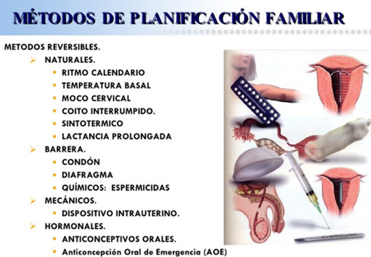 LINEAS DE-ACCION-ESTADO-COLOMBIANO PARA TRABAJO-SALUD-SEXUAL-REPRODUCTIVA