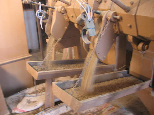SISTEMA DE PRODUCCIÓN: FINCA LA CALERA GUAIMARAL