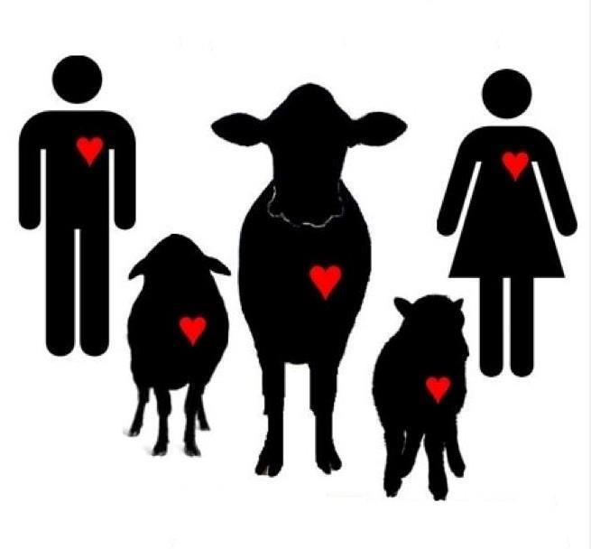 Declaracion Universal de los Derechos de los Animales