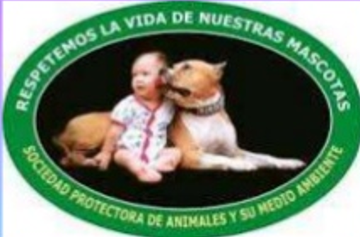 Declaracion Universal de los Derechos de los Animales