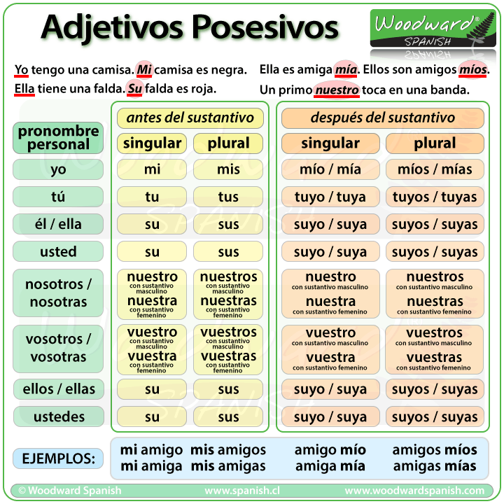 Aspectos fundamentales de la gramática del Español