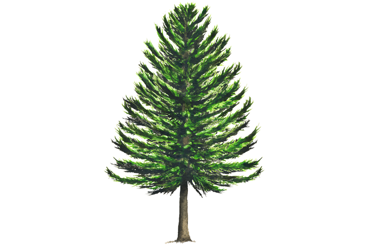 PRINCIPALES ECOSISTEMAS EN MÉXICO