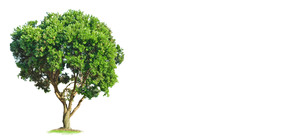 PRINCIPALES ECOSISTEMAS EN MÉXICO