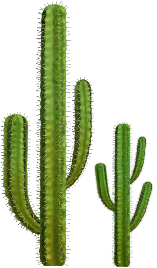 PRINCIPALES ECOSISTEMAS EN MÉXICO